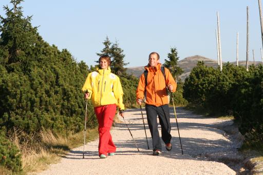 Nordic walking